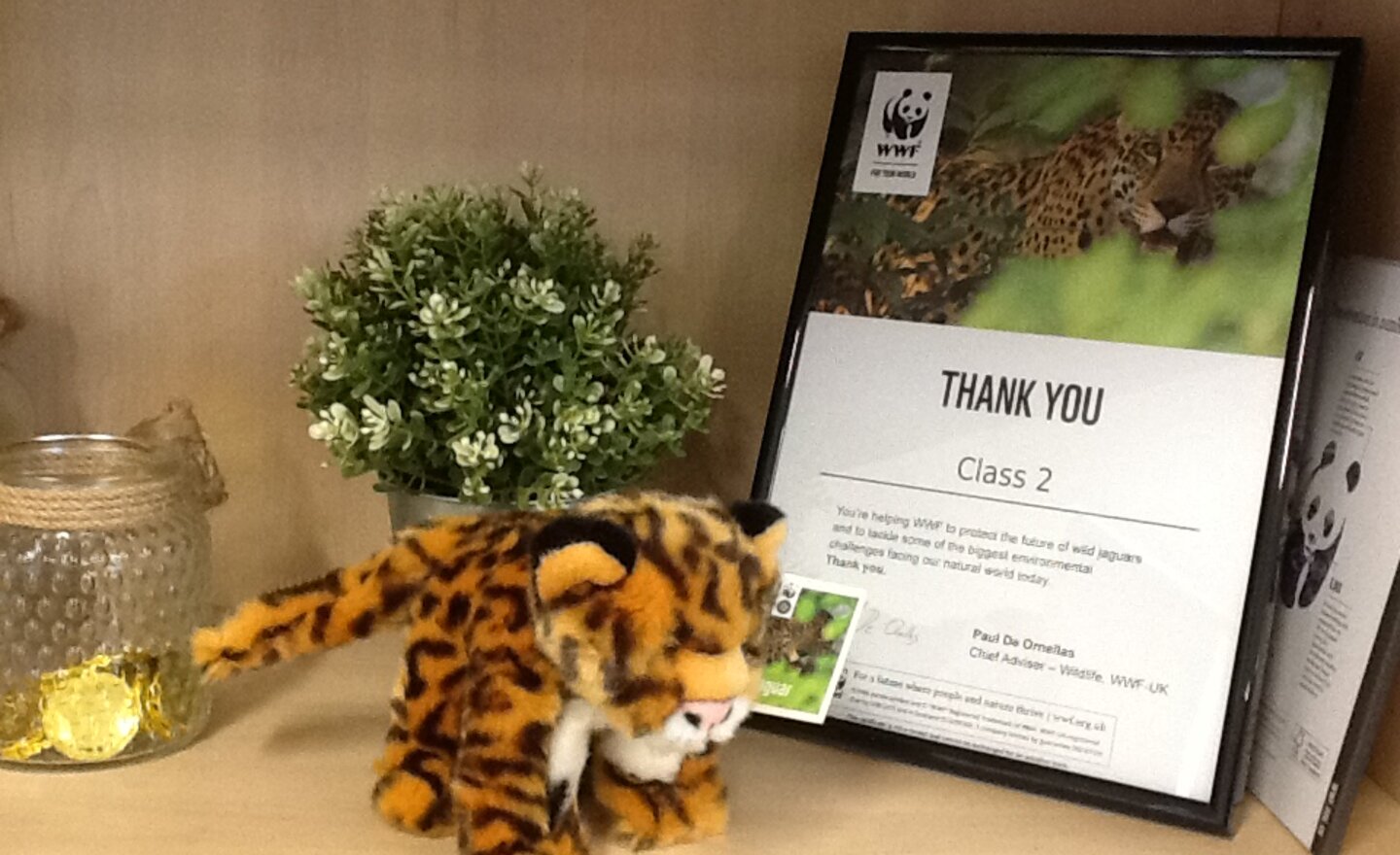 Image of We are mindful...